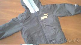 Puma kabatik (1/3)