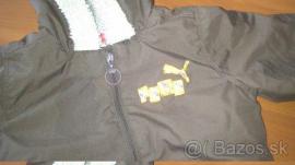 Puma kabatik (2/3)