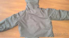 Puma kabatik (3/3)