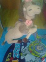 Velke tavy (2/3)