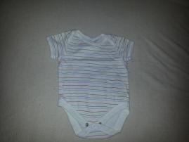 Body (1/1)