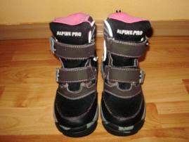Alpine pro (1/4)