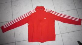 Teplakova súprava Adidas (2/4)