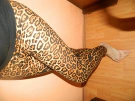 Leopardie leginy (2/3)