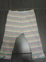 Leginy (1/2)