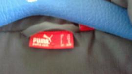Bunda puma (2/2)