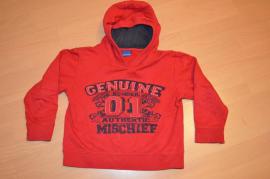 Mikina (1/1)