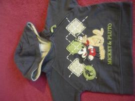 Mikina disney, veľ. 74 (3/4)