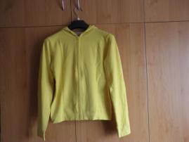 Mikina (1/3)