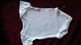 Body (1/1)