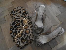 Leopardie lodicky (2/2)