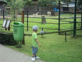 Tenisky (2/2)