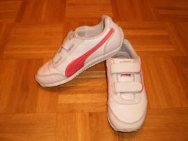 Botasky puma (1/4)