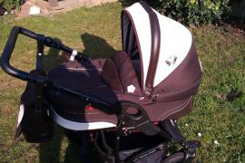Danny sport butterfly2013 (1/4)