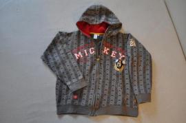 Mikina Disney (1/1)