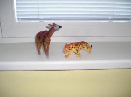 Leopard a srnka (1/1)