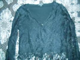 Top (1/1)