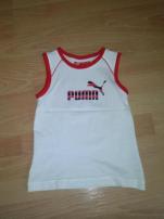 Puma tielko (1/2)