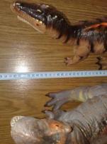 Dinosavri (3/4)