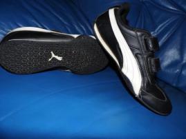 Puma (1/3)