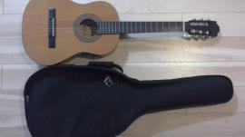 Gitara marris a puzdro (1/1)