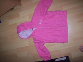 Puma bundička (1/4)