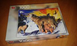 Puzzle 1000 (2/3)
