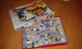 Puzzle 1000 (3/3)