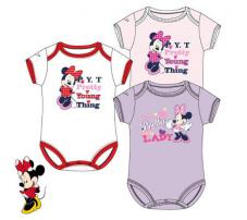 Minie body (1/1)