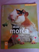 Moje morča (1/3)