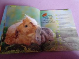 Moje morča (2/3)