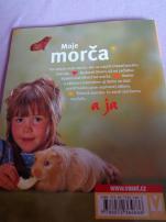 Moje morča (3/3)