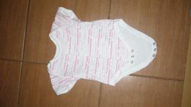 Body (1/1)