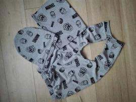 Pudlace (1/1)