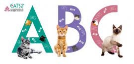 Cats (1/1)