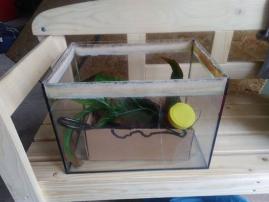 Akvarium s prislusenstvom (2/2)