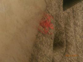 Softshelova bunda (3/4)