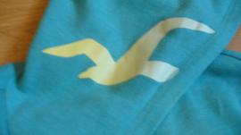Hollister mikina (3/4)