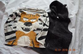 Vesta chlpatka a top (1/1)