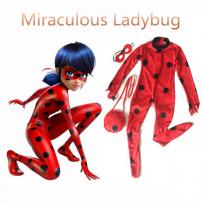 Ladybug kúzelná lienka (1/6)