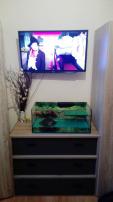 Tv sony (1/3)