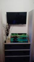 Tv sony (2/3)