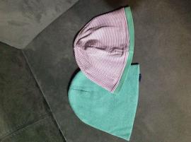 Ciapka (2/2)