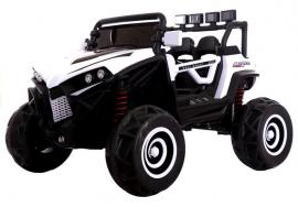Elektrické autíčko buggy (1/1)