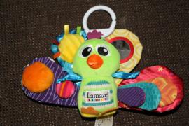 Pestrofarebny pav lamaze (1/1)