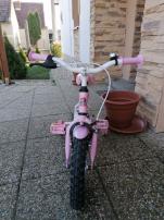 Volare rose 12 (2/3)