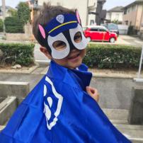 Paw patrol rôzne druhy (2/7)