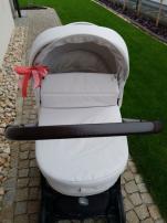 Inglesina aptica (3/4)