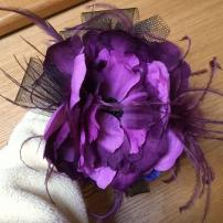 2xfascinator/celenka nove (3/4)