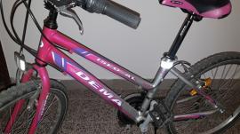 Horsky bicykel (2/4)